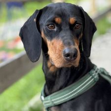 Profile image of Leon_krop