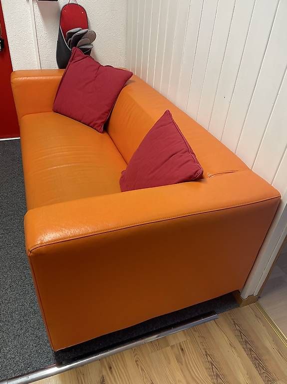 Divani: Sofa – Usato da Aarau venduto da lomaxus 1