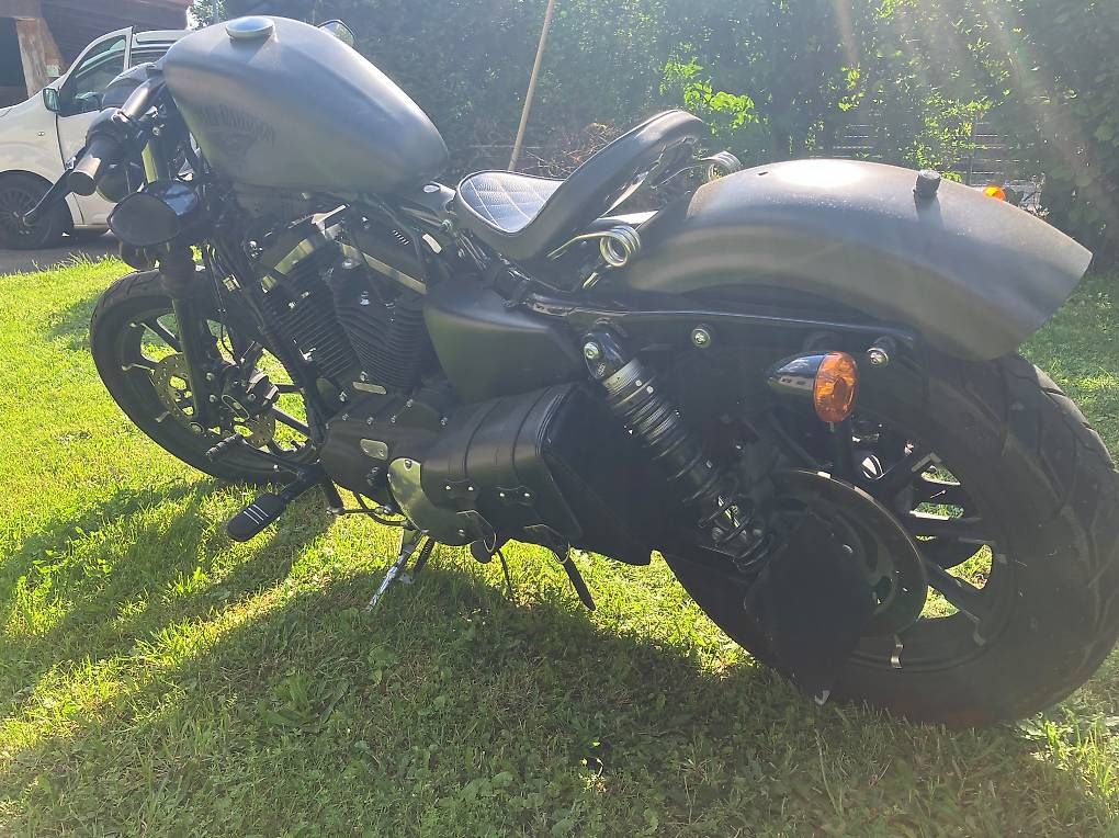 Chopper: Harley Davidson Sporster iron 883 – Gebraucht aus Glovelier von ALE_vtm5 4