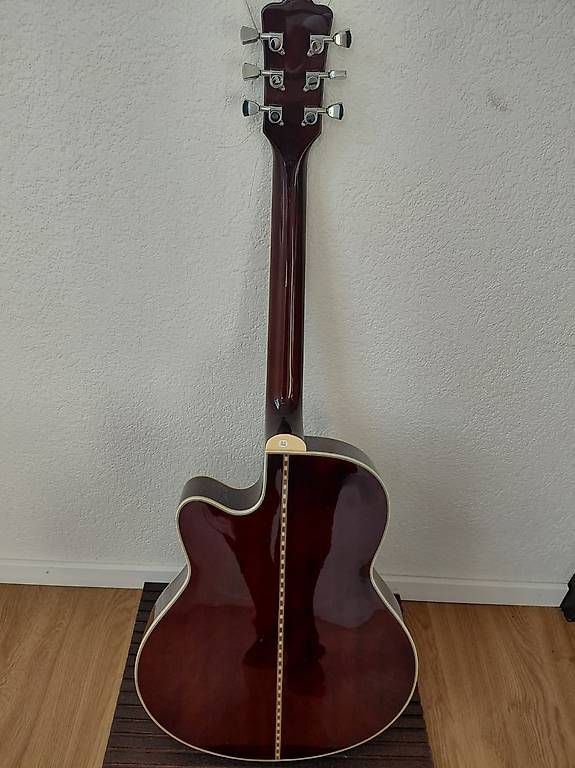 Musikinstrumente: SubZero Semi-Hollow  Wie Neu – Gebraucht aus Dietikon von Vent-Gary- 2
