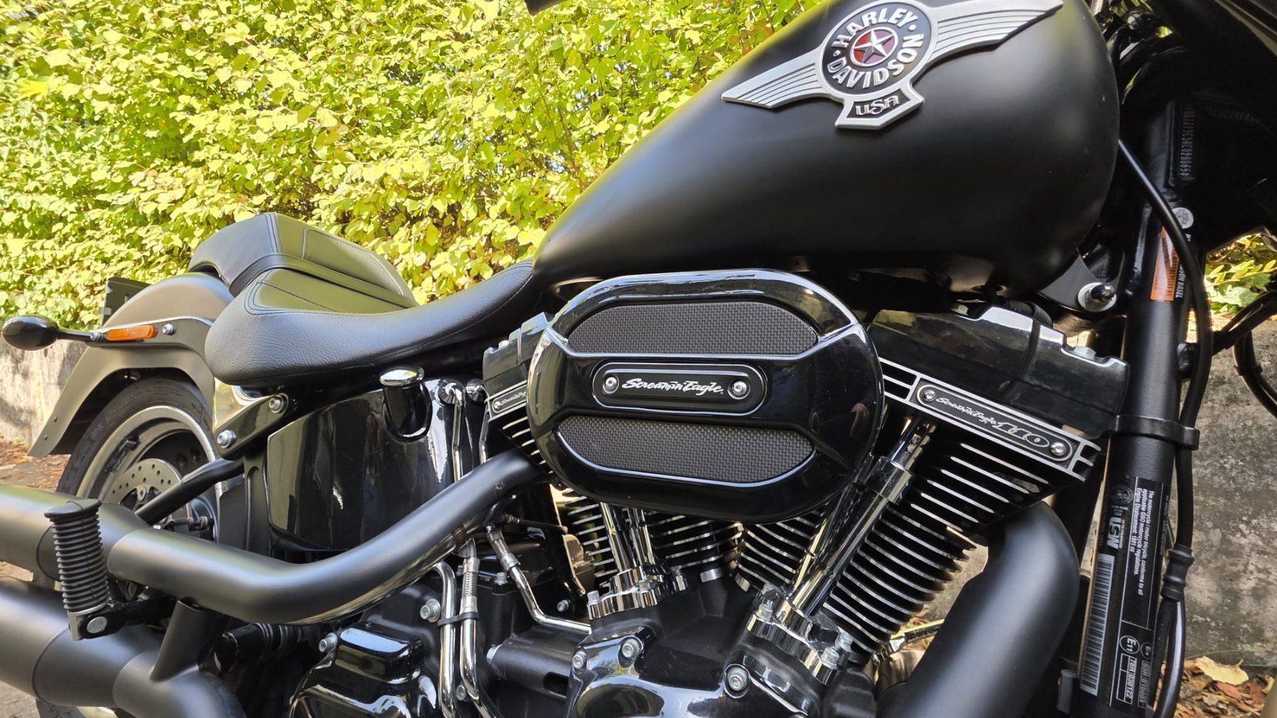 Harley-Davidson Chopper: Harley Davidson FLSTFBS – Gebraucht aus Aesch BL von isc_85jd 1