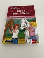 Bibi & Tina Buch Grosse Pferdeliebe 