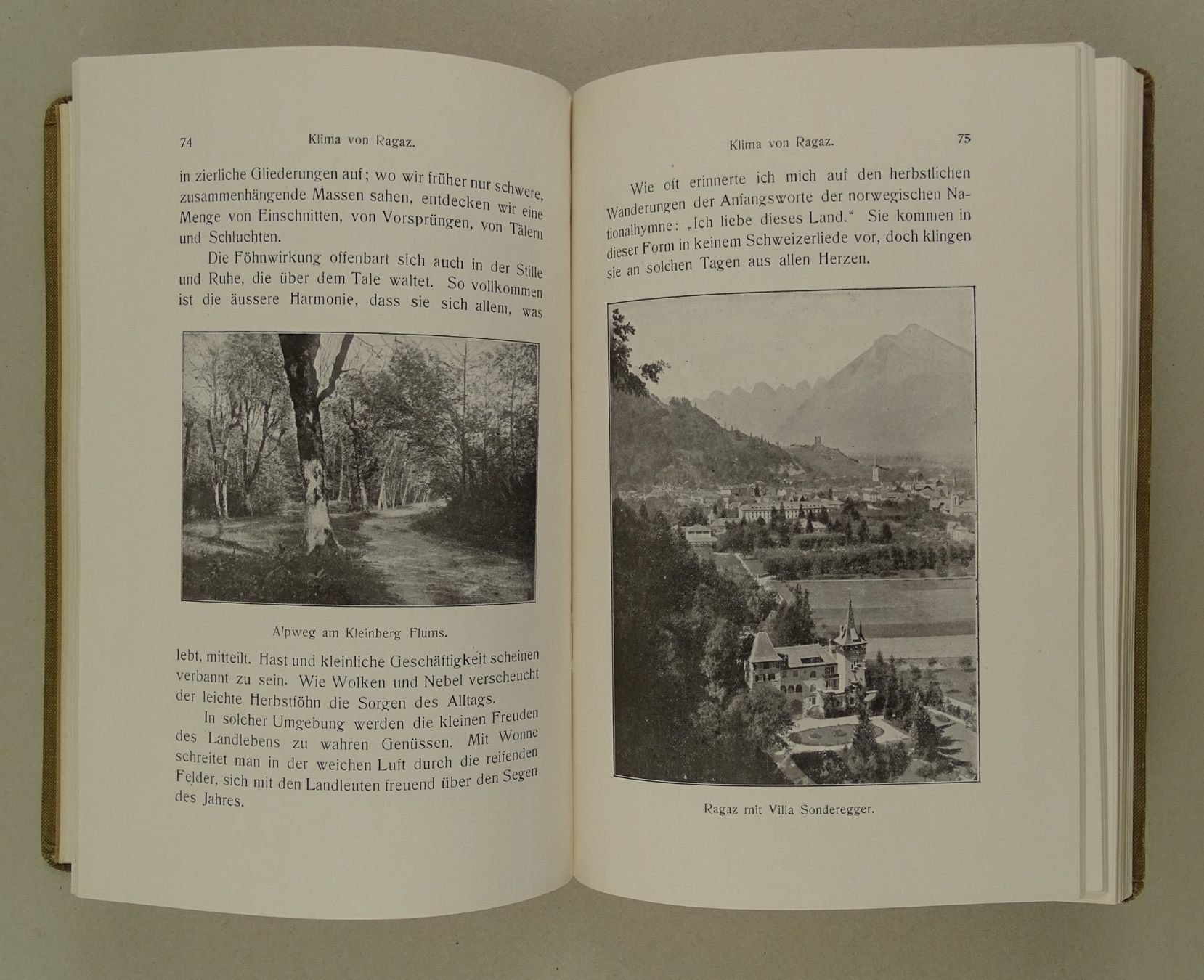 Libri: RAGAZ PFÄFERS, 1910 – Usato da Grüningen venduto da Kartensammler 3