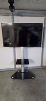 Showroom DELL Flat PanelMonitor C5517H + Stand HP 1 DL