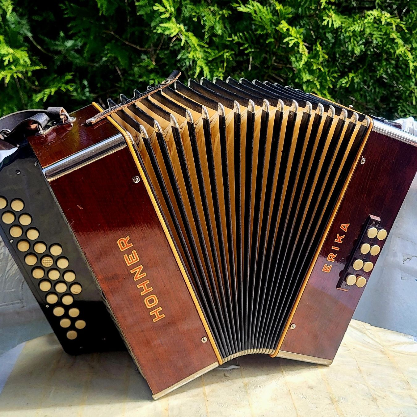 Musikinstrumente: Accordéon Hohner Erika – Gebraucht aus Penthalaz von EvandroLuz 2