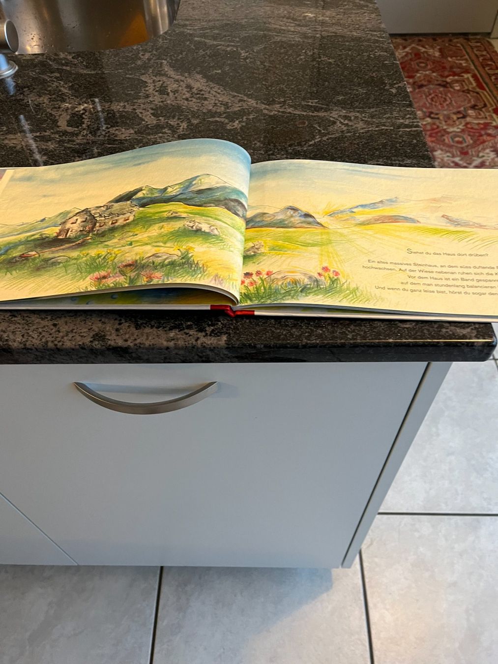 Libri: Kinderbuch, "Zauberkind" Sandra Schuster & Rita Polajnar Top – Usato da Zürich venduto da Roulet 1