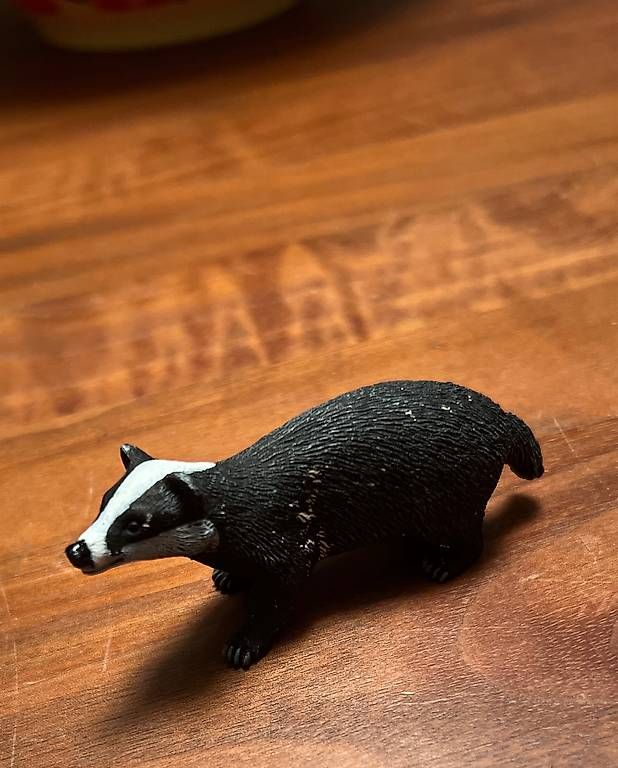 Statuette: Schleich Dachs – Usato da Uster venduto da cut_7g79