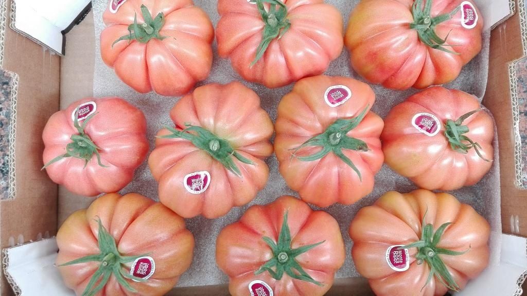 Piante & sementi: 15 Samen Monterosa Tomate Spanien – Nuovo (secondo la descrizione) da Magliaso venduto da bosfu