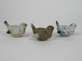 Vögel
