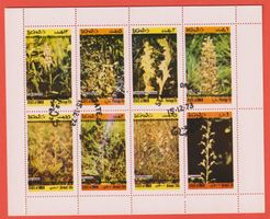 1973 OMAN Blumen / Pflanzen