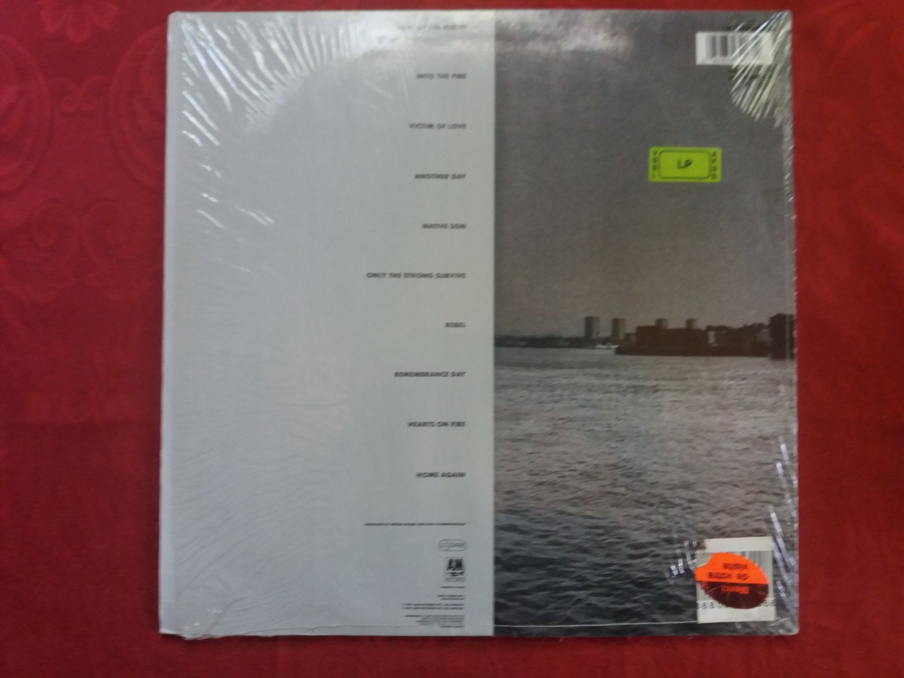 Dischi in vinile: LP (Bryan Adams) Into The Fire – Usato da Meyrin venduto da toutatis 1