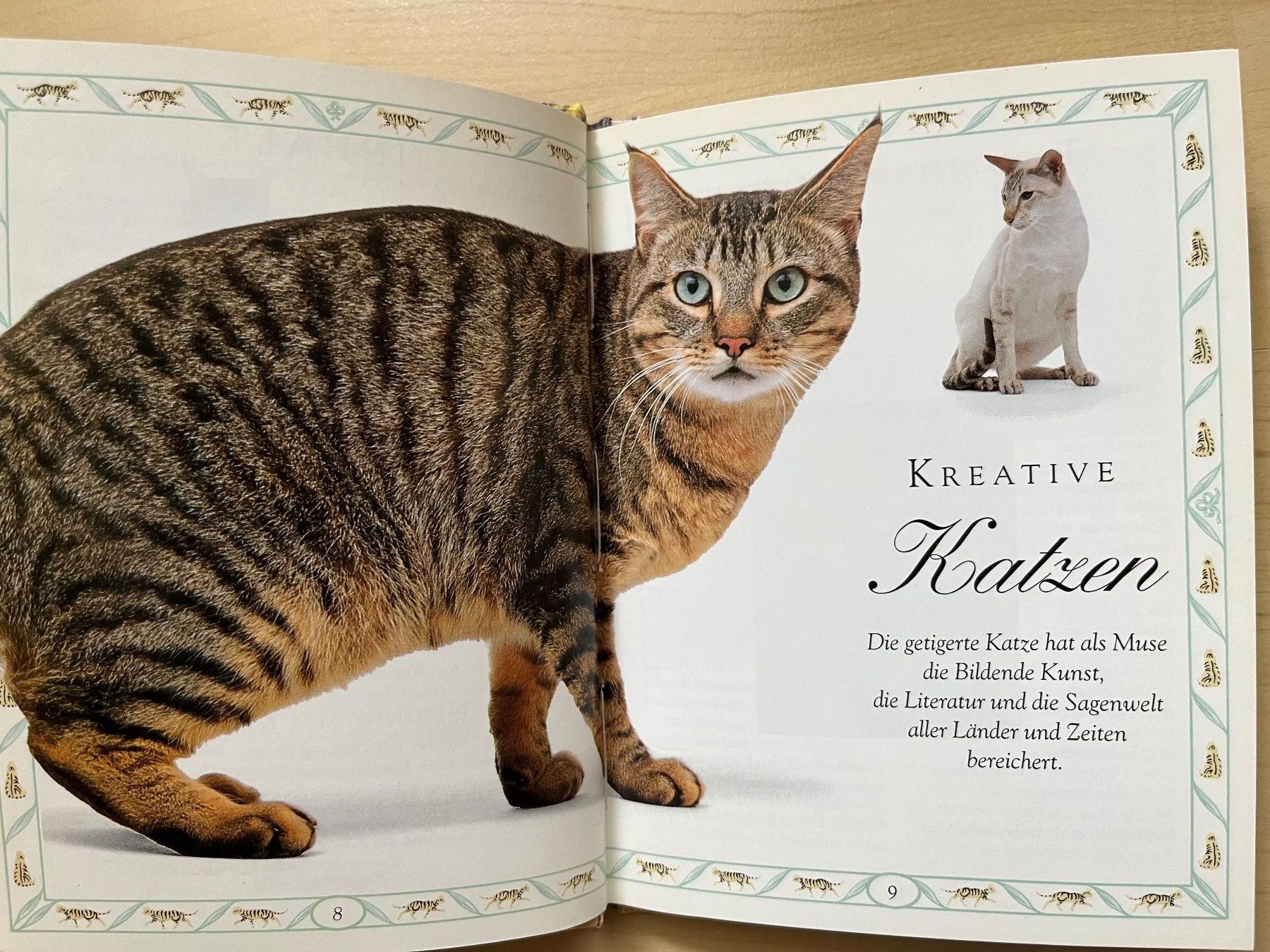 Libri: Tigerkatze - Das persönliche Brevier – Usato da Zürich venduto da Gurkis 3