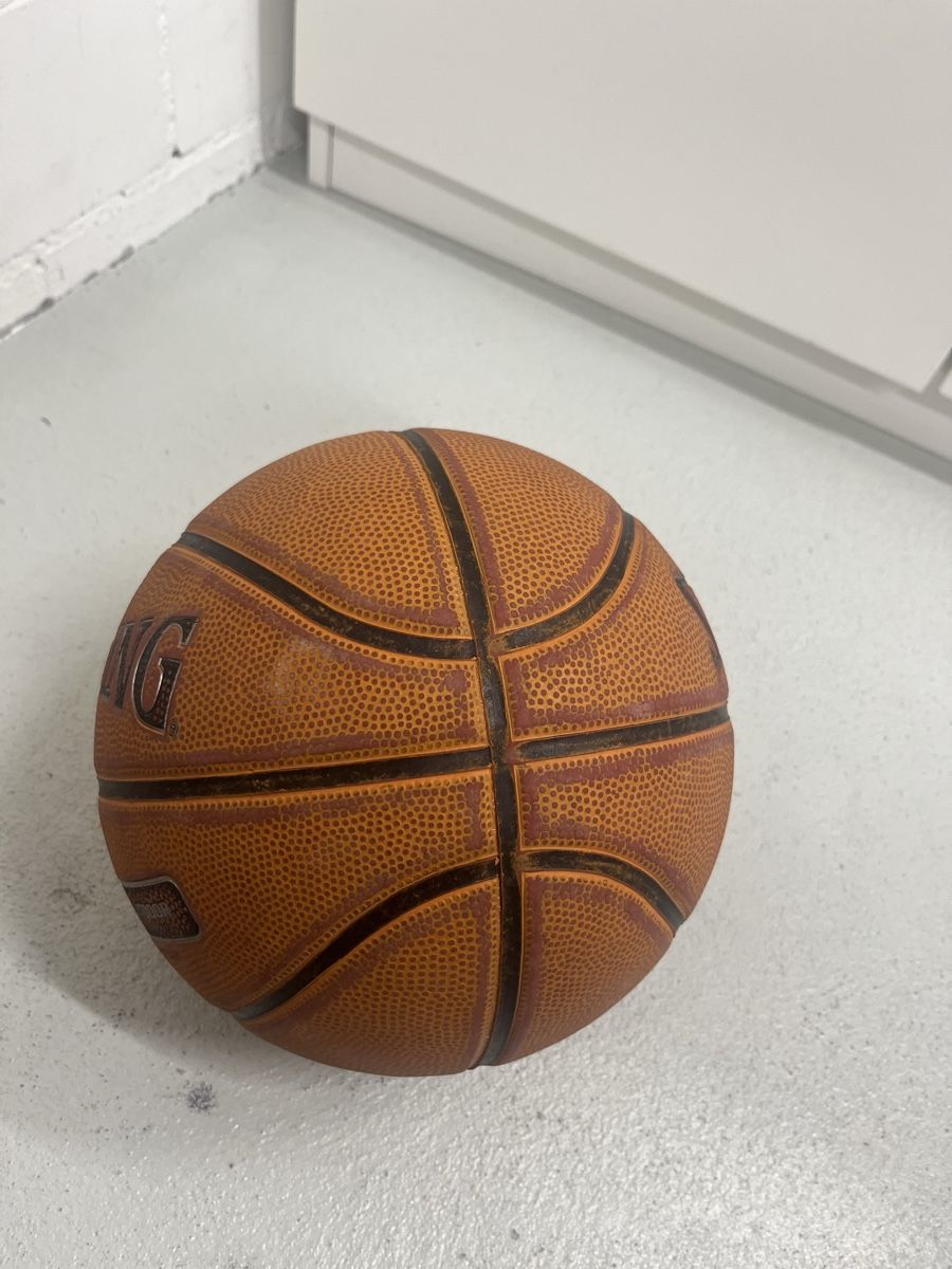 Spalding Palloni: Spalding NBA Platinum Basketball – Usato da Würenlos venduto da jam_mv8g 9