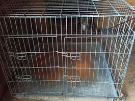 Hundebox zum Einklappen
