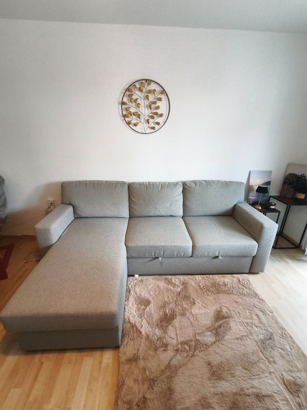 Sofas: Graues Sofa mit Bettfunktion, wie neu – Gebraucht aus Winterthur von mpa_rzv7