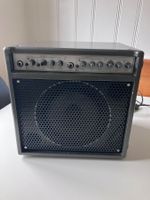 Lakewood Acousticube (by AER) Verstärker für Akustikgitarre