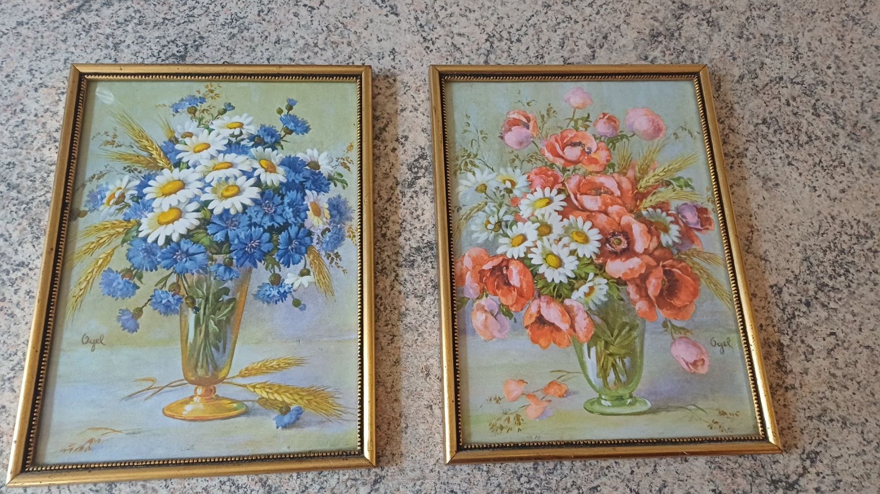 Foto & Immagini: 2 Schöne Blumenbilder – Usato da Flawil venduto da Pinkmalibu
