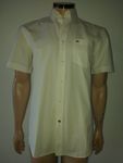 Chemise / Hemd LACOSTE  Taille / Grosse 40 ( M )