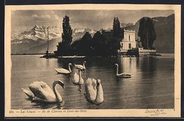 Ile de Clarens /Lac Léman, Ile de Clare
