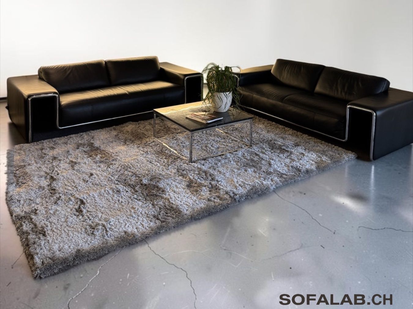 Divani: De Sede DS 180 Sofas Nappaleder – Usato da Fehraltorf venduto da Sofalab.swiss