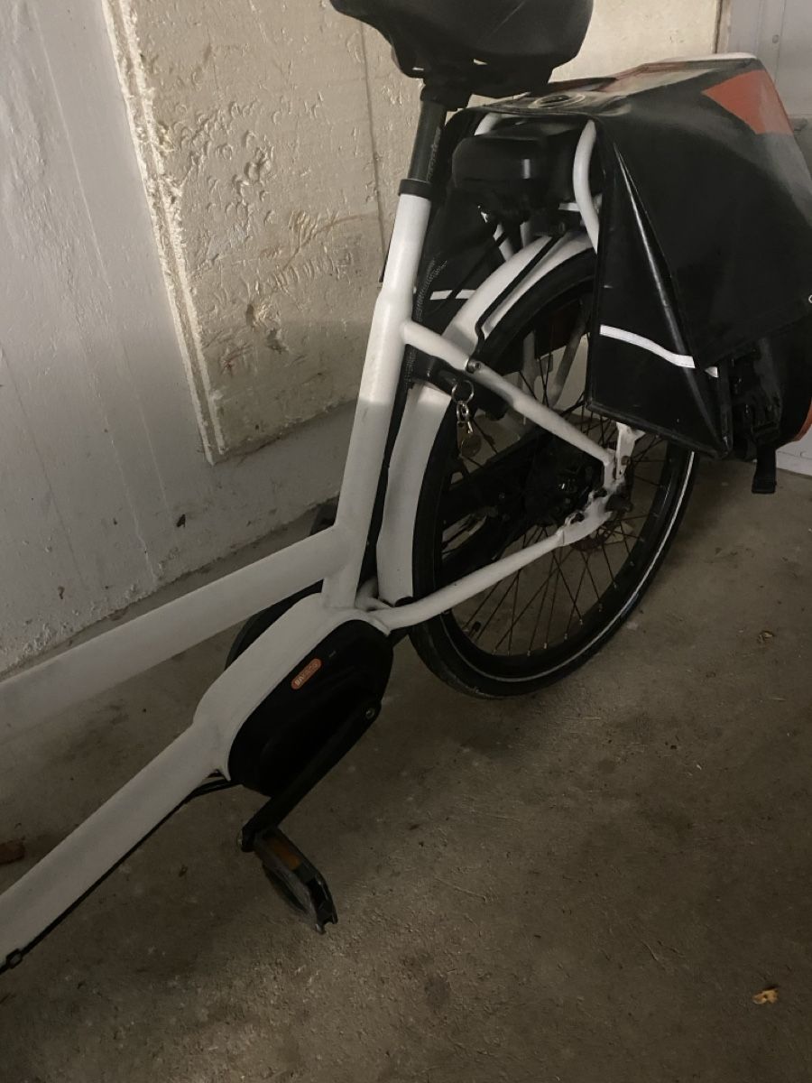 Biciclette: Dolly E-Lastfahrrad / e-cargobike – Usato da Reinach BL venduto da stutkir 1