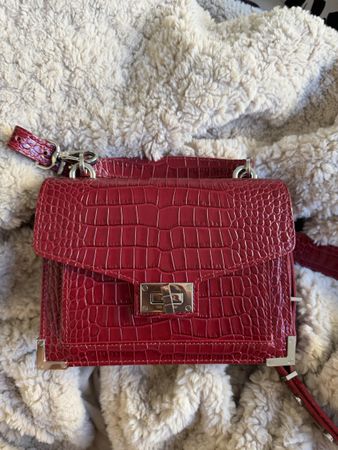 Emily bag The Kooples