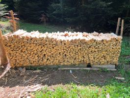 1 Ster Brennholz trocken 33cm, ohne Rinde=weniger Parasiten!