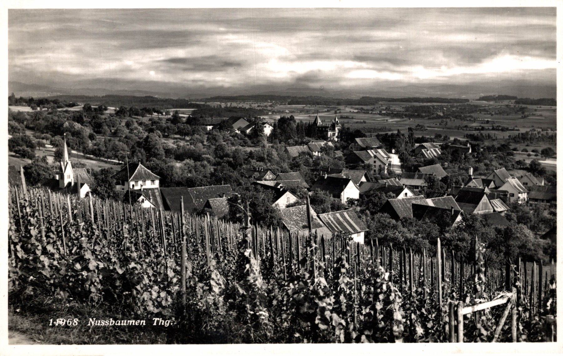 Cartoline postali: Neuhausen Thg. – Usato da Bronschhofen venduto da Astore