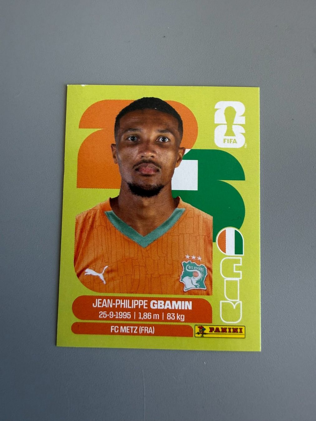 Panini Carte collezionabili: Panini Jean-Philippe Gbamin CIV14 – Usato da Liebefeld venduto da Ronaldo-1996