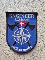 *** Badge Engineer Platoon Swisscoy mit klett ***