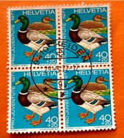 Nr.J 239 Pro Juventute GESTEMPELT Heiden 1971  