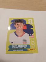 Panini WM 2026 USA 17