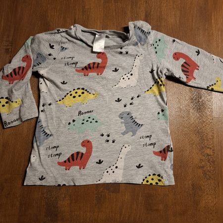 Cooles Dino-Shirt, Grösse 80, Langarm für kleine Entdecker