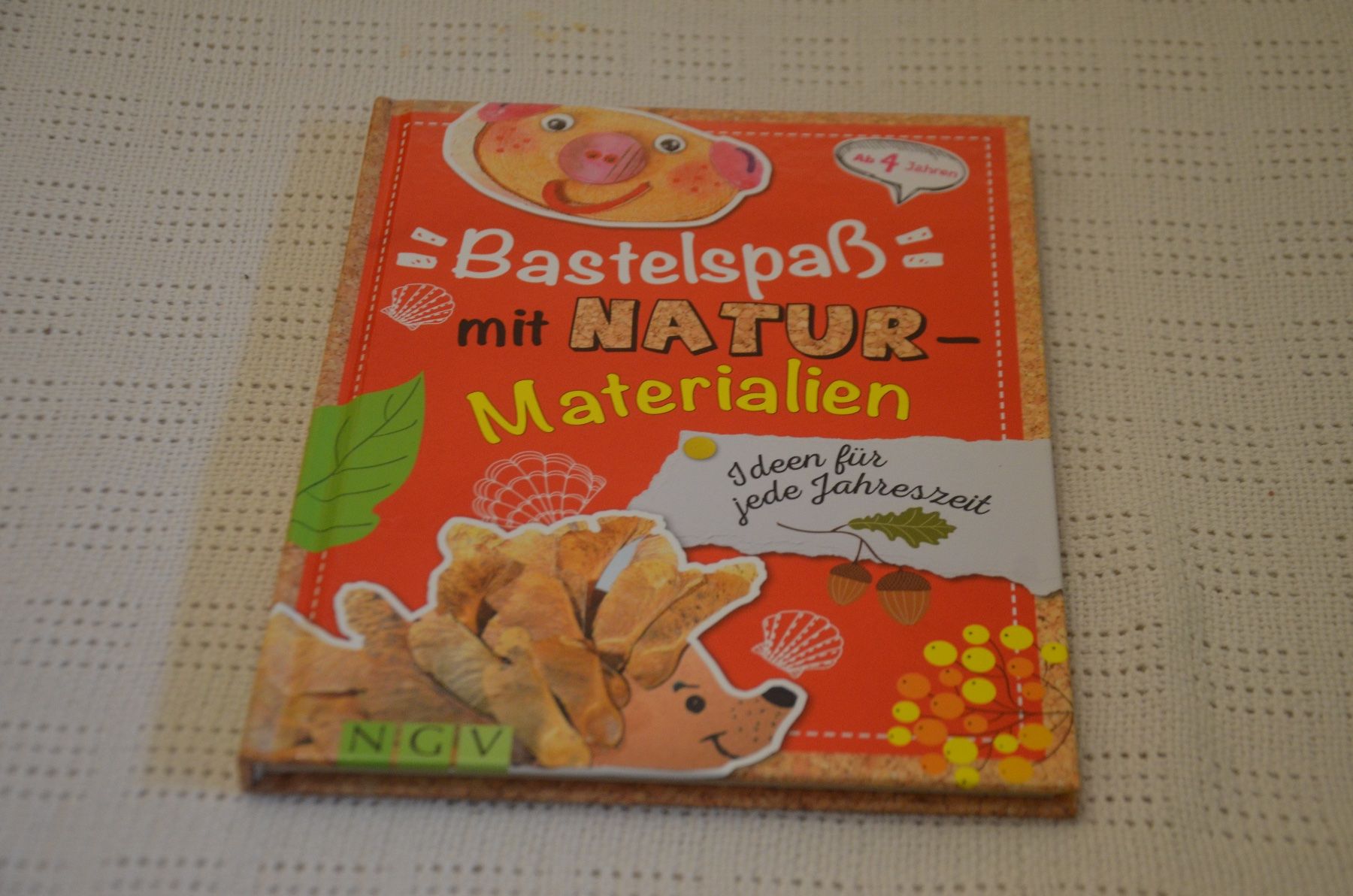 Kit bricolage: BASTELN MIT NATUR BUCH – Usato da Chiasso venduto da Dolly015