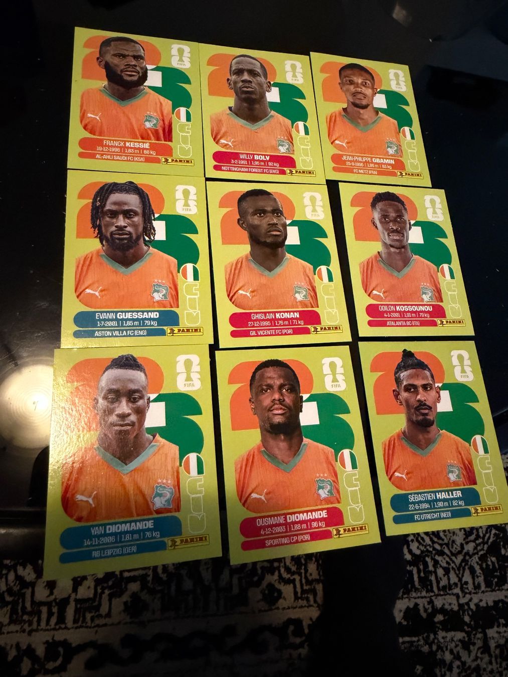 Panini Carte collezionabili: Panini World Cup 26 CIV 9Stk – Usato da Wettingen venduto da NickInc
