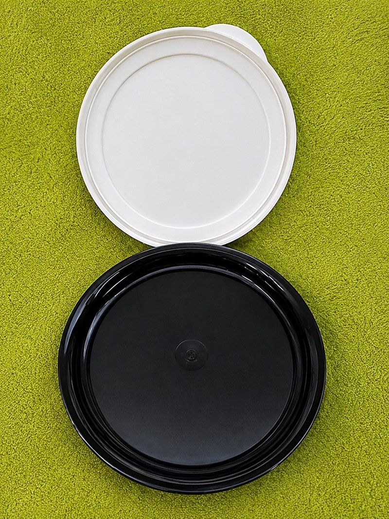 Tupperware Contenitori & Simili: TUPPERWARE Butterdose & Servierschüssel mit Deckel – Usato da Werdenberg venduto da EXA-Secondhand 2