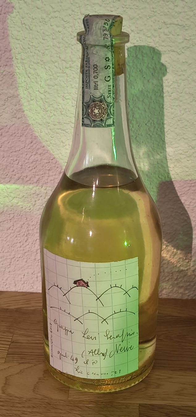 Romano Levi Bevande alcoliche: Grappa Levi Scatolini 49% Vol. 0.7L ungeöffnet – Nuovo e nell'imballaggio originale da Uznach venduto da igreub