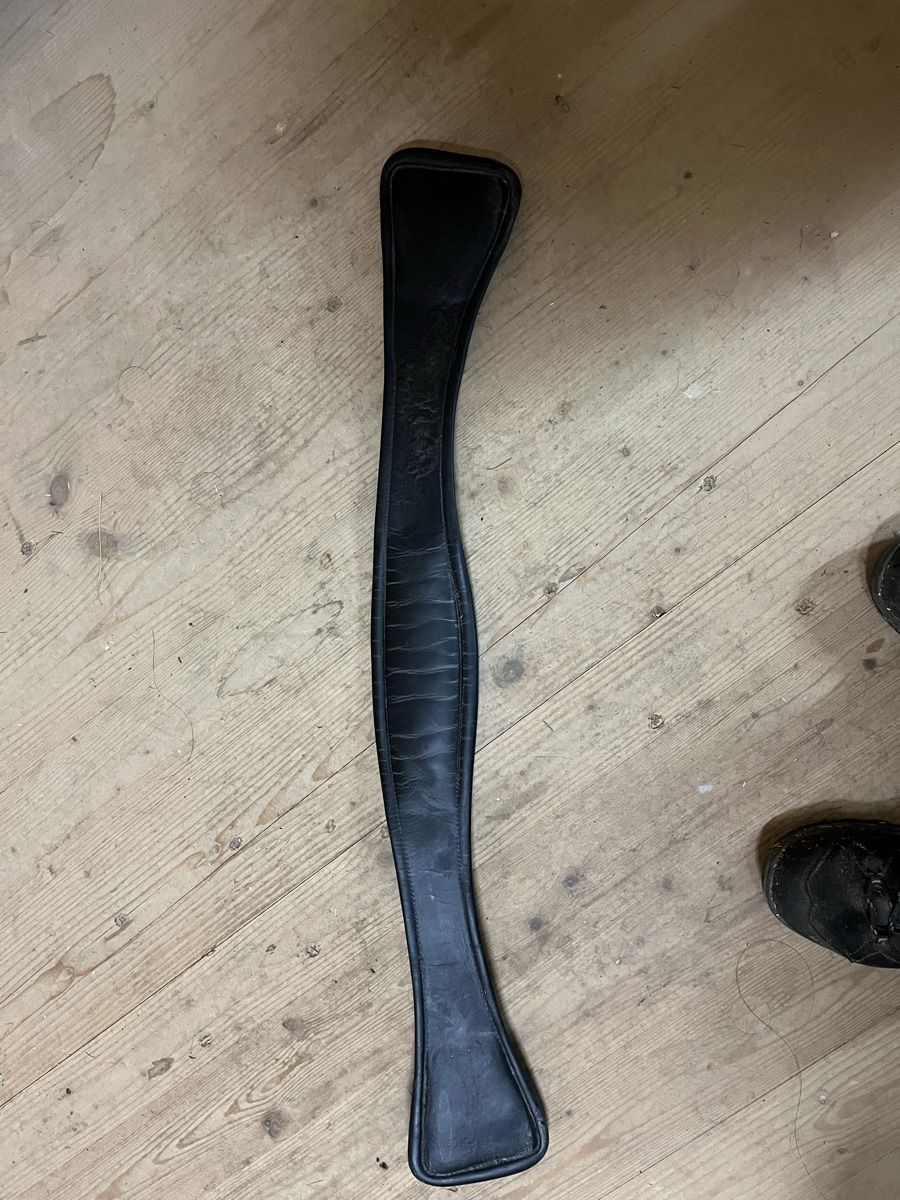 Selle & Accessori: Sattelgurte – Usato da Oberbüren venduto da Pat761