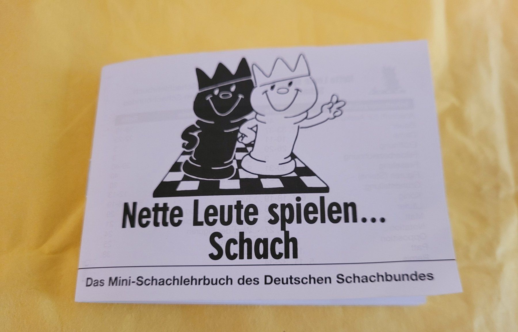 Giochi: MINI-SCHACHLEHRBUCH - Kostenloser Versand !! – Nuovo e nell'imballaggio originale da Chur venduto da Artona0903