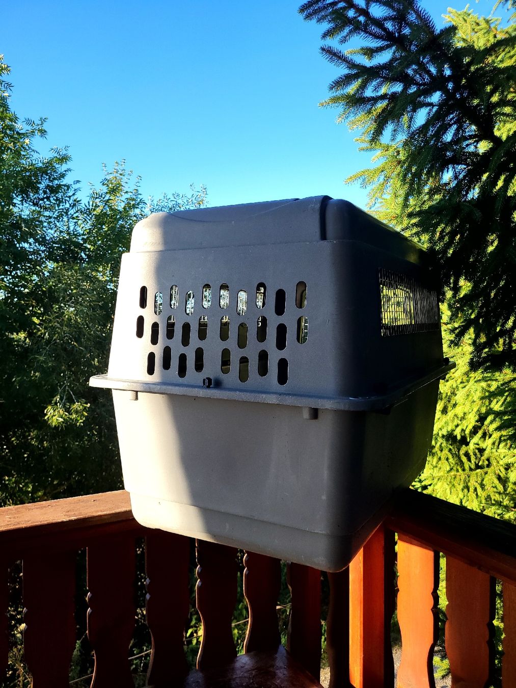 Gabbie, trasporto & Sicurezza: Hundebox  – Usato da Glovelier venduto da Spitzegugger 2
