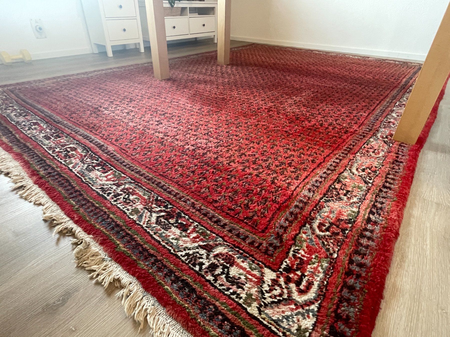 Tappeti: Teppich 246 x 355cm – Usato da Schmerikon venduto da die_8b8m 5