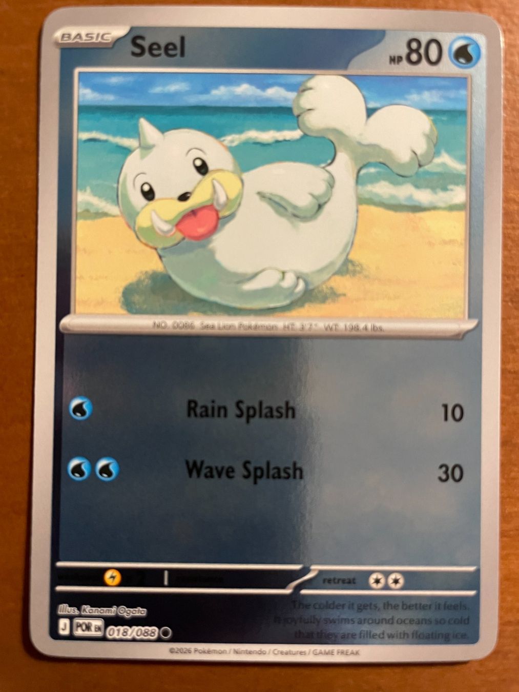Pokémon Carte collezionabili: Pokemon Seel Reverse (Versand gratis) – Nuovo (secondo la descrizione) da Chur venduto da Angerson