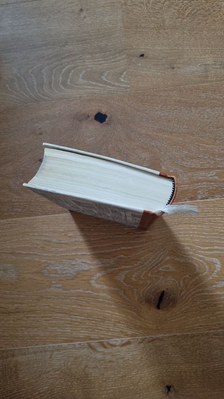 Libri: Thomas Mann - "die Buddenbrooks" - Ausgabe von 1957 – Usato da Seon venduto da Eva_worldwide 1