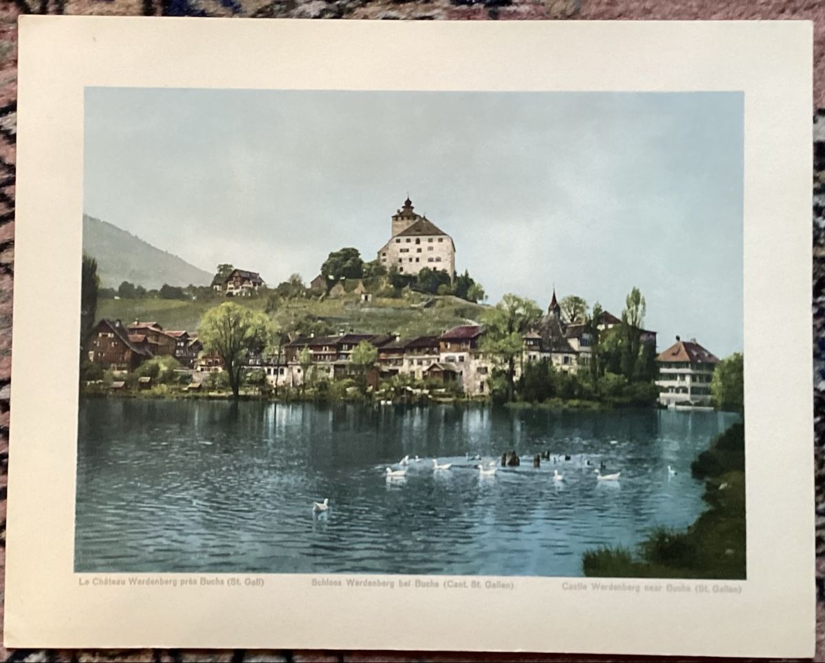Foto & Immagini: Schloss Werdenberg – Usato da Reinach BL venduto da Linda013