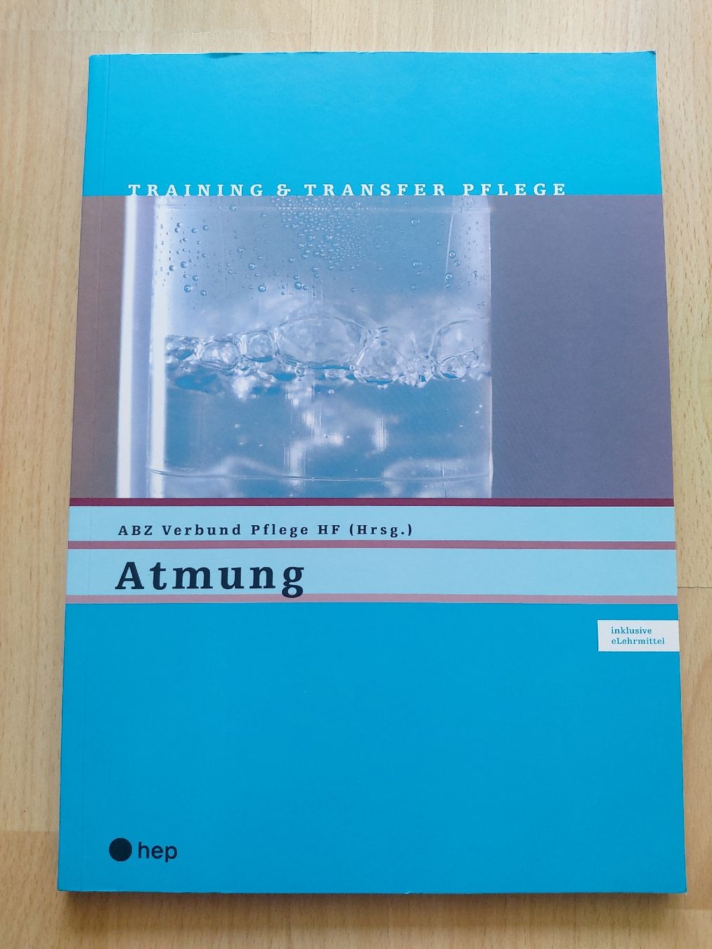 Libri: Pflege HF Atmung – Usato da Frenkendorf venduto da Eona87
