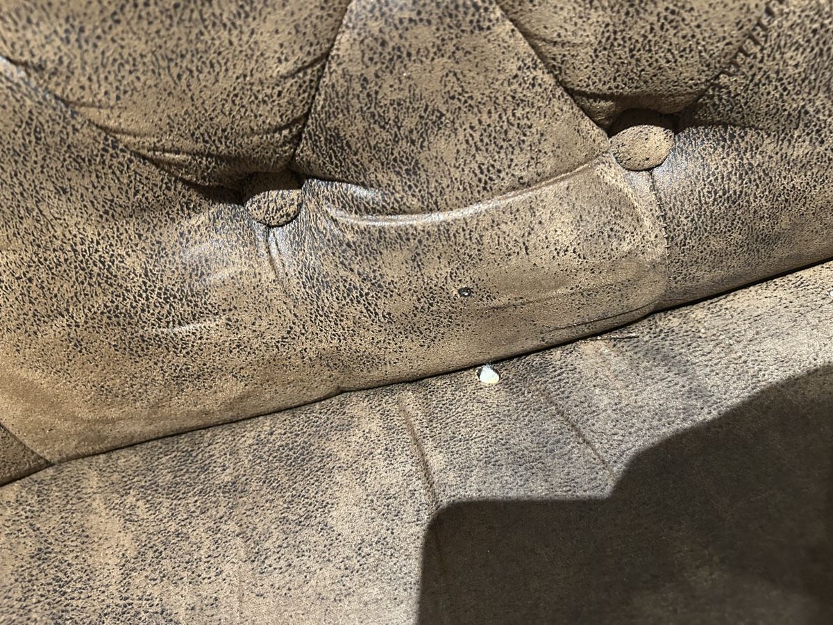 Divani: Chestelfield Sofa und zwei Sessel – Usato da Wald ZH venduto da cor_v5gs 3