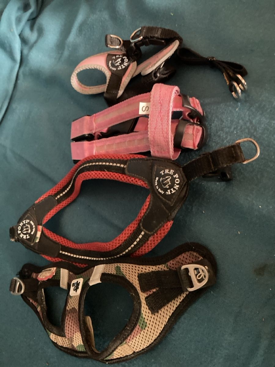 Abbigliamento: Hundeartikel – Usato da Schwanden GL venduto da bait04 2