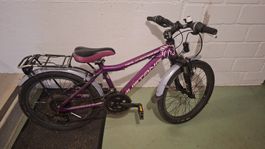 Kinder Fahrrad Trailchecker 20