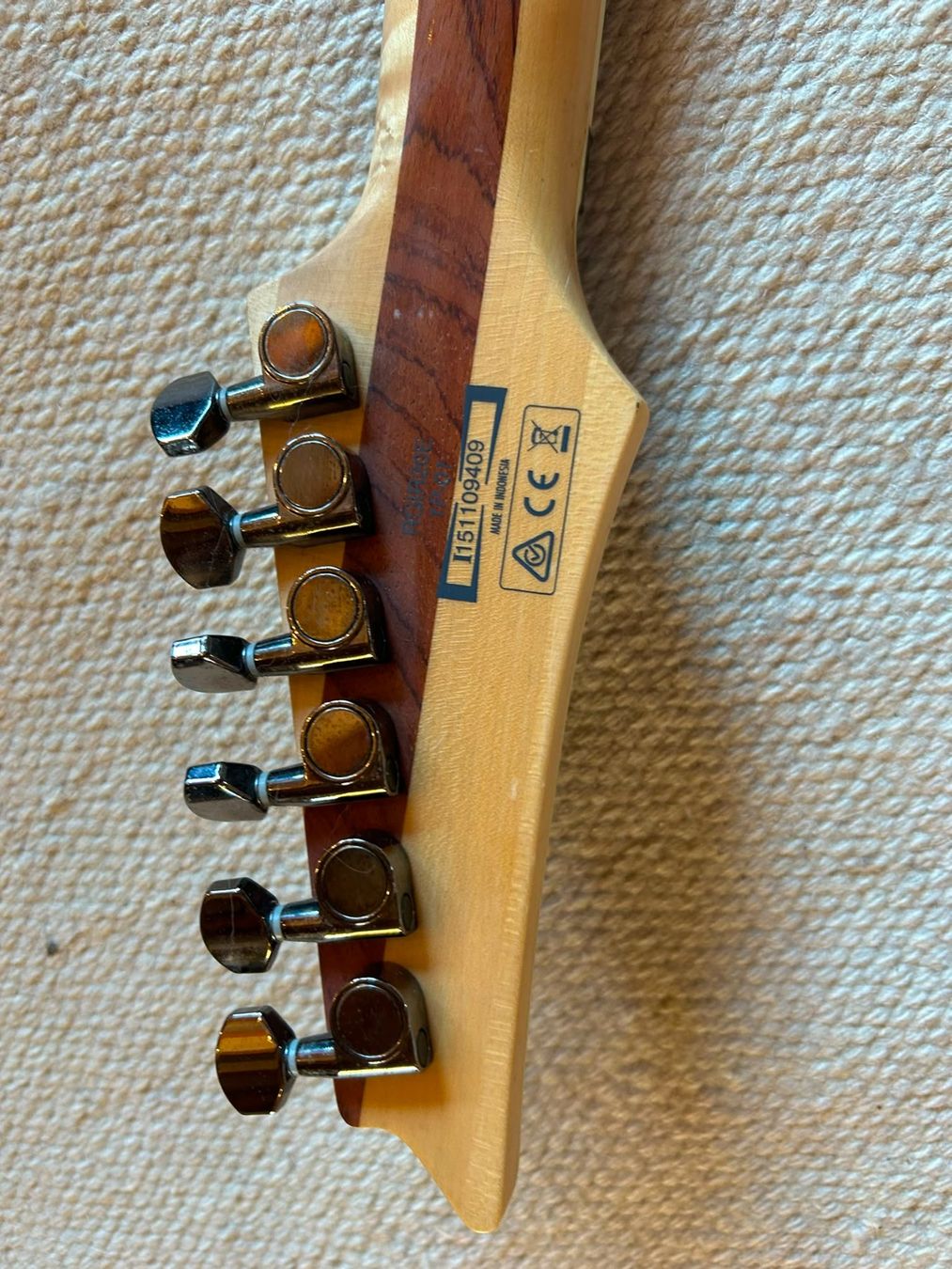 Ibanez Strumenti musicali: Ibanez RGIR20E Iron Label – Usato da Safnern venduto da Jubatus_ 5