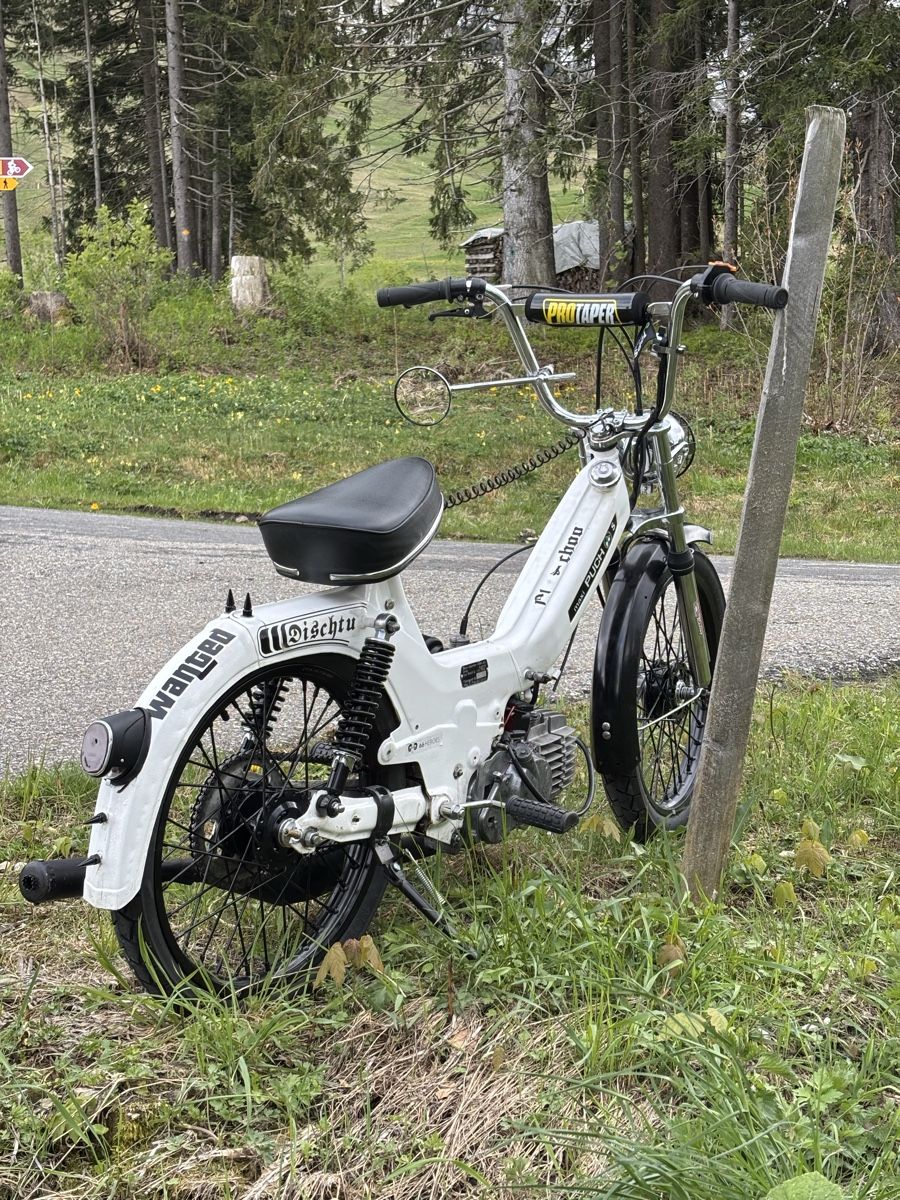 Puch Ciclomotori: Puch Maxi S – Nuovo (secondo la descrizione) da Schüpfheim venduto da dapistel 2